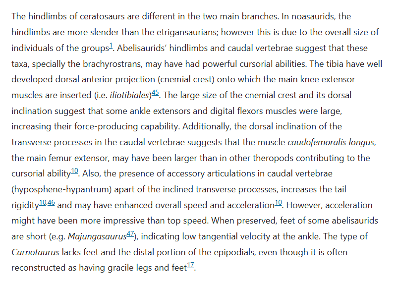 Probably Glaive tweet media