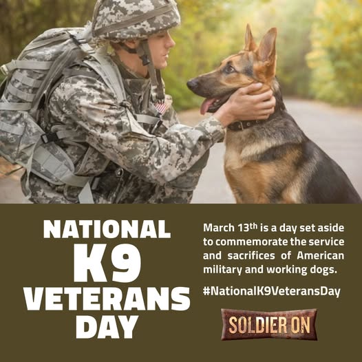 Soldier On tweet media