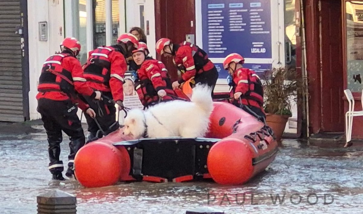 Paul Wood 💙 tweet media