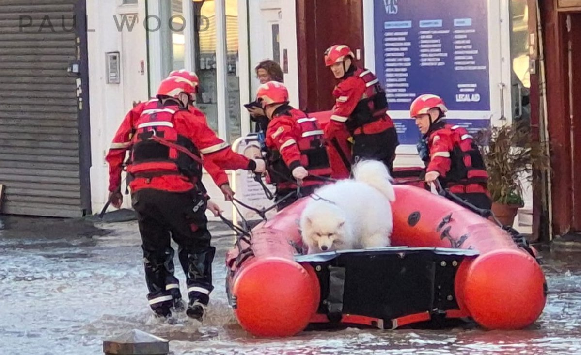 Paul Wood 💙 tweet media