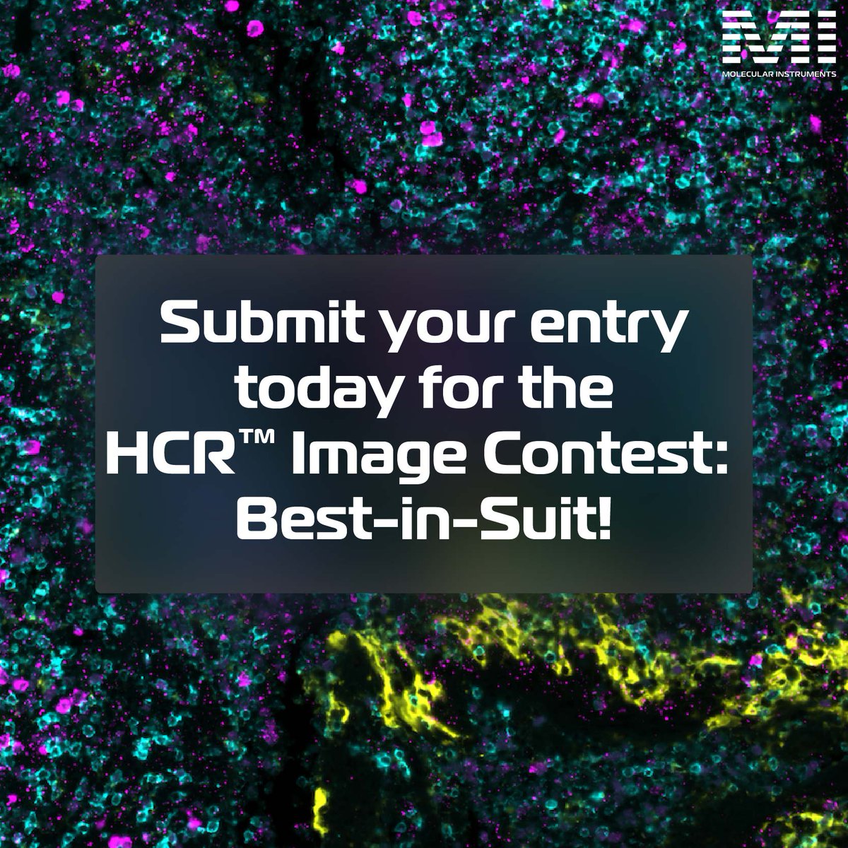 Molecular Instruments tweet media