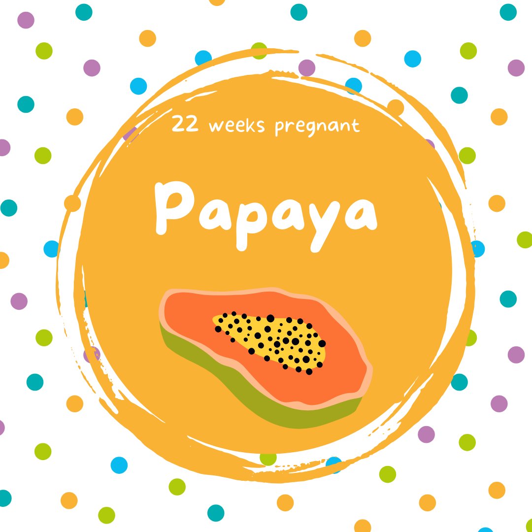 imaginatal's tweet image. At 22 weeks, your baby is about the size of a papaya 🧡 

Tiny kicks, big milestones — you’re well into the “is that a flutter or a full-on karate move?” stage 

Want to check in on baby? Why not book one of our bonding and well being scans zurl.co/o8o3z

#imaginatal
