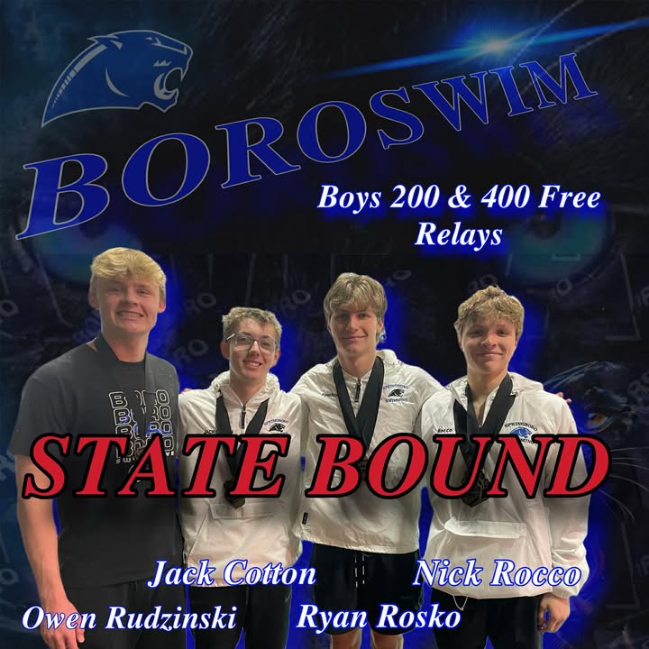 Springboro Panthers tweet media