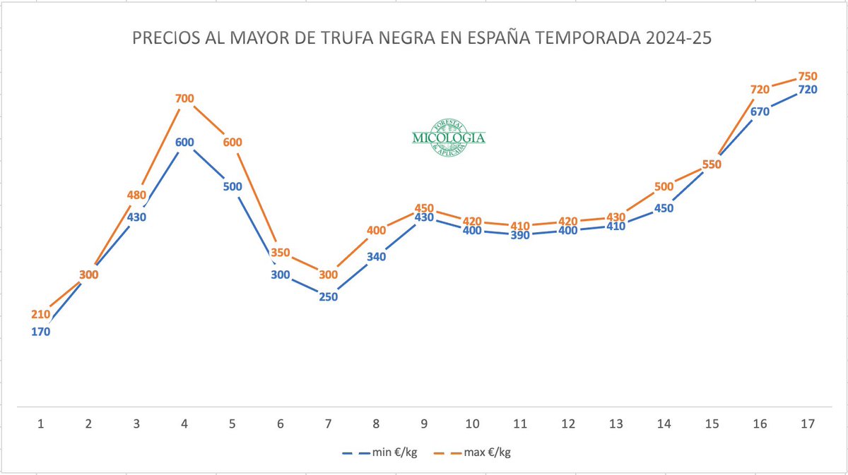 Marcos Morcillo tweet media