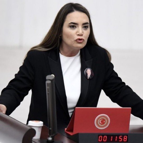 İYİ Partili Ayyüce Türkeş Taş:

“öcalanın statüsü gayet net ve bellidir. kendisi 55.000 kişinin katili, hain bir teröristbaşıdır. 

Çözüm: girdiği inde ecelini beklemektir. Hatırlatayım kendisi idama mahkum edildi ve sizin elinizle idamdan kurtuldu imralı da yaşıyor bu iyilik de