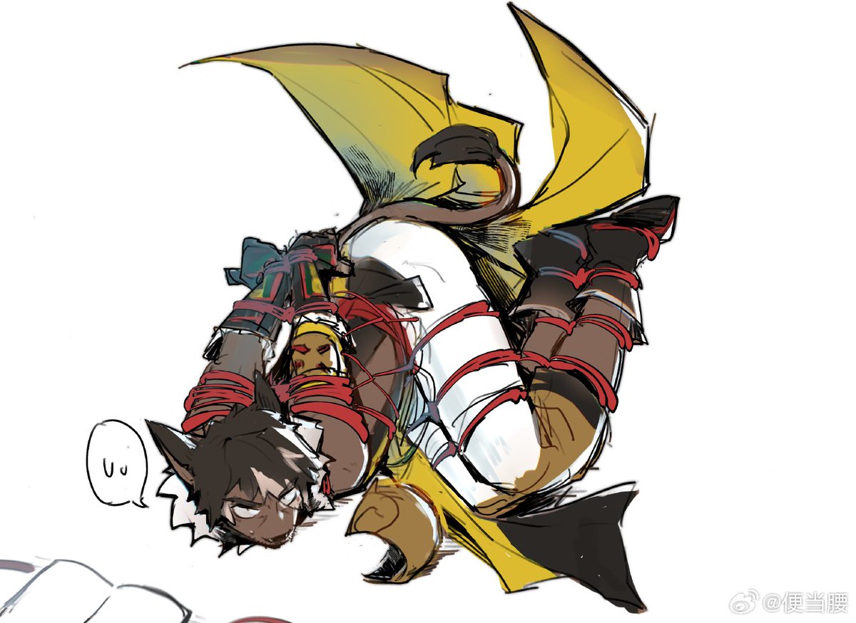 便当腰🐈 tweet media