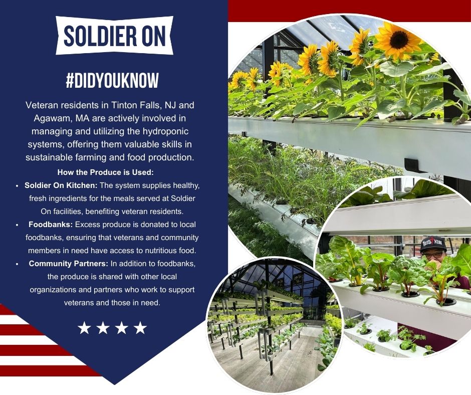 Soldier On tweet media