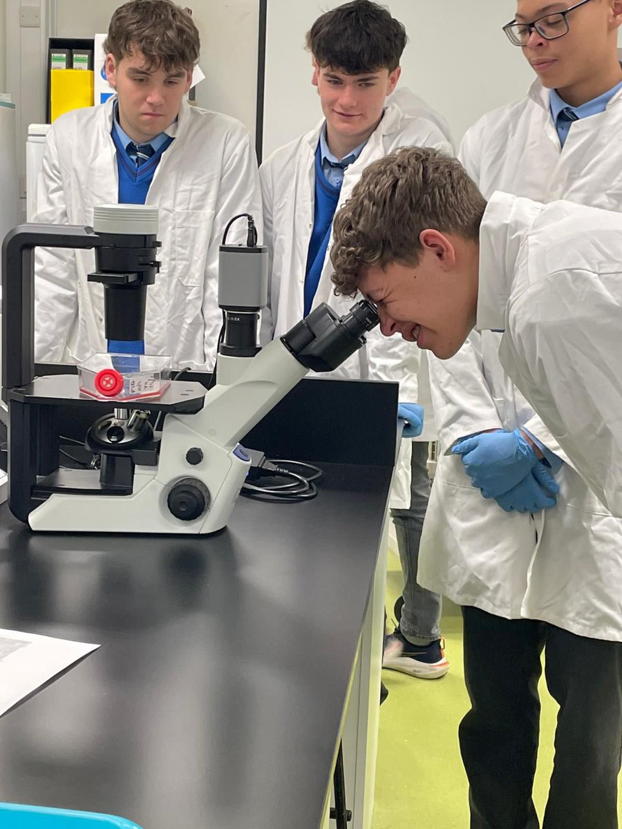 Summerhill College tweet media