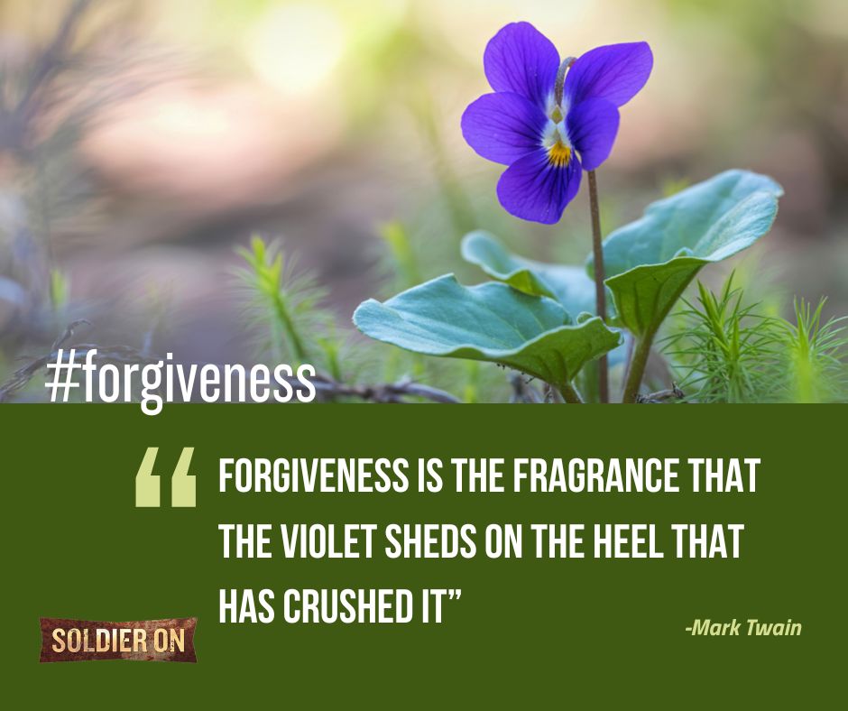 Soldier On tweet media