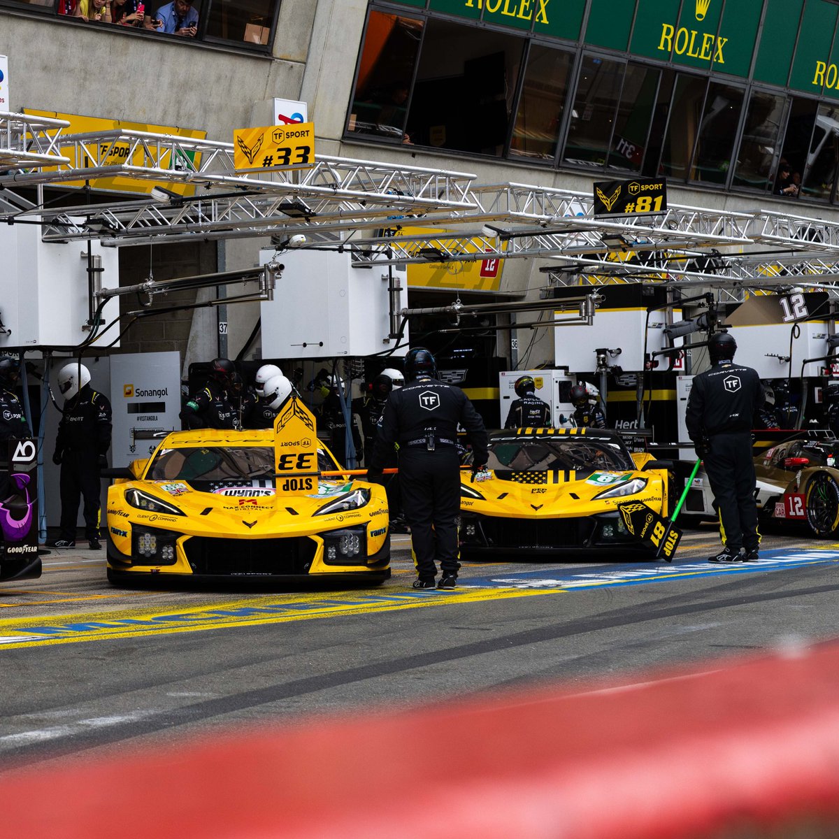 Jonny Edgar tweet media