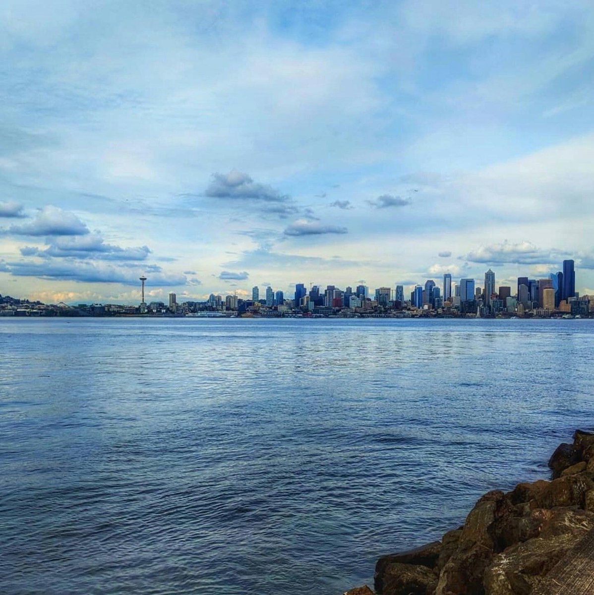 AlkiSurfShop tweet media