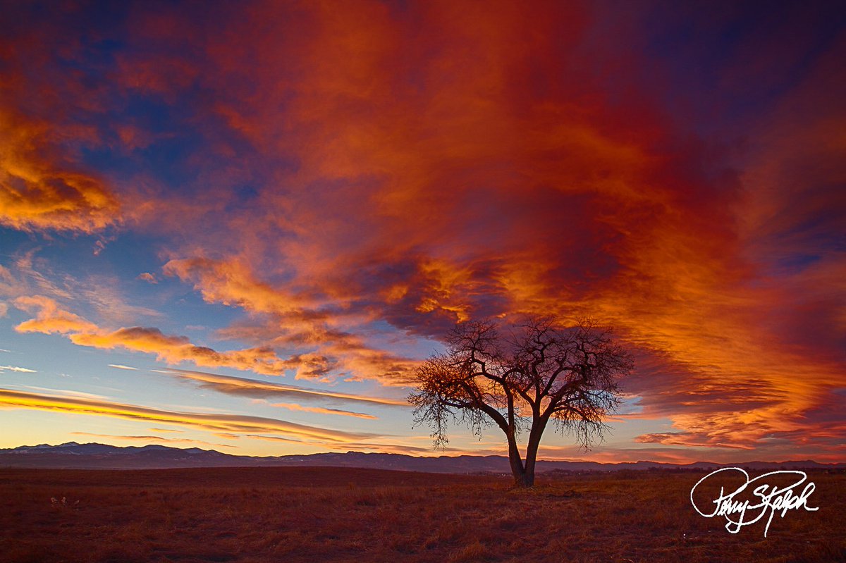 perryralph's tweet photo. Let's fill X with Stunning Shots and Real Moments #ShareAPhoto

"Lone Tree Sunset"

A Lone Tree stands on the #Colorado front range near Fort Collins at #Sunset. The Colorado winter sunsets are a beautiful blend of orange and blue.  #LoneTree #Tree #Mountains #Photography https://t.co/b0NDxWPBms