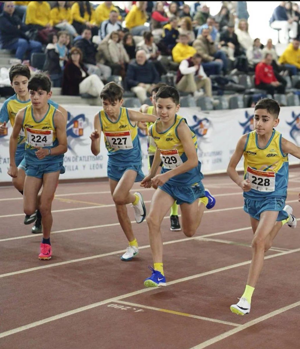 David Mingo Pérez tweet media