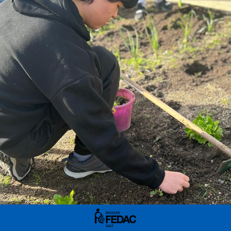 FEDAC Salt tweet media