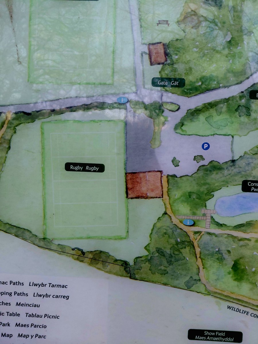 Faye Davies tweet media