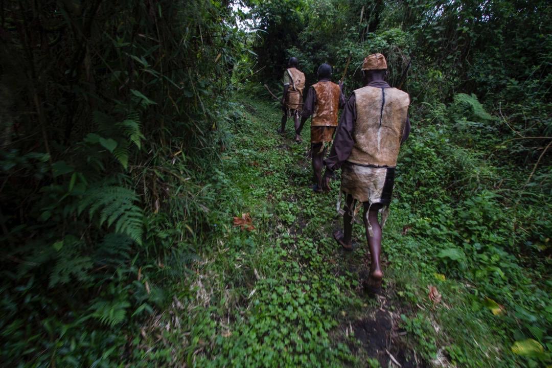 RugoteTours's tweet photo. 🚨DID YOU KNOW
The Batwa people, original forest dwellers of Bwindi Impenetrable National Park, are among East Africa’s oldest indigenous communities 🌿

Once hunter-gatherers, they lived entirely off the forest using herbal medicine, hunting skills & rich storytelling traditions passed down for generations.

They also have a rich and fascinating culture with amazing traditions expressed through music, dance, and ancient forest rituals.

A true living heritage of Uganda 🇺🇬✨
#ExploreUganda