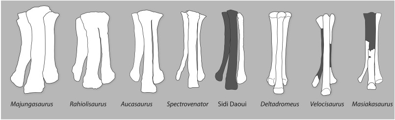 Probably Glaive tweet media