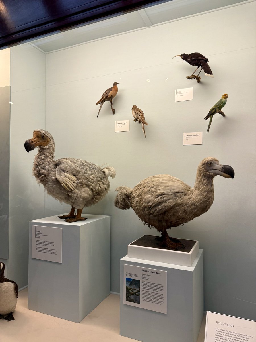 MahinTheMachine on Bluesky tweet media