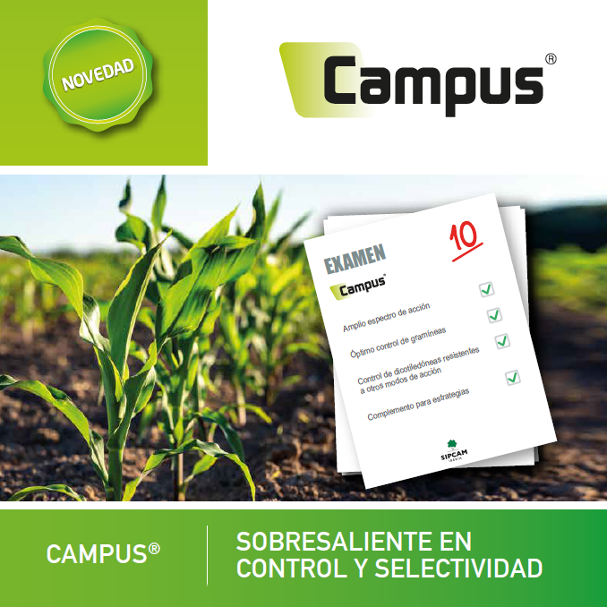 SIPCAM Iberia tweet media