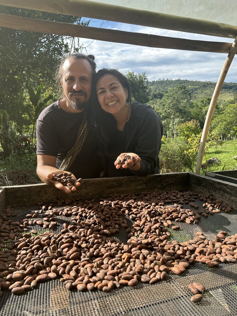 Bitcoin Beans Proof Of Cacao tweet media