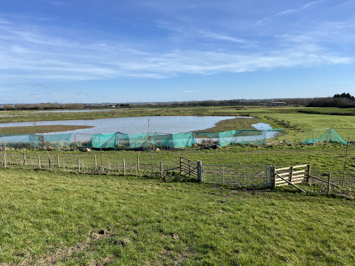 Paul Masters tweet media