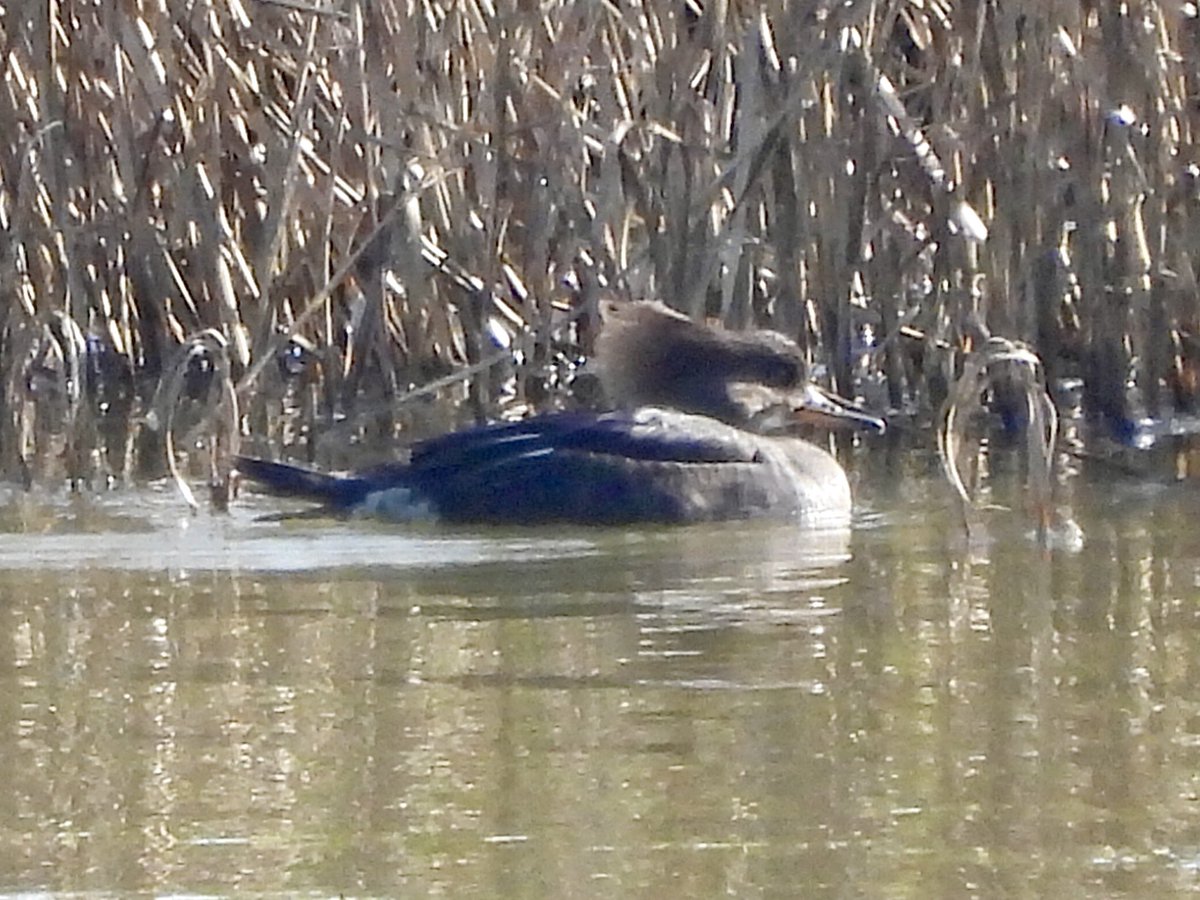 Paul Masters tweet media