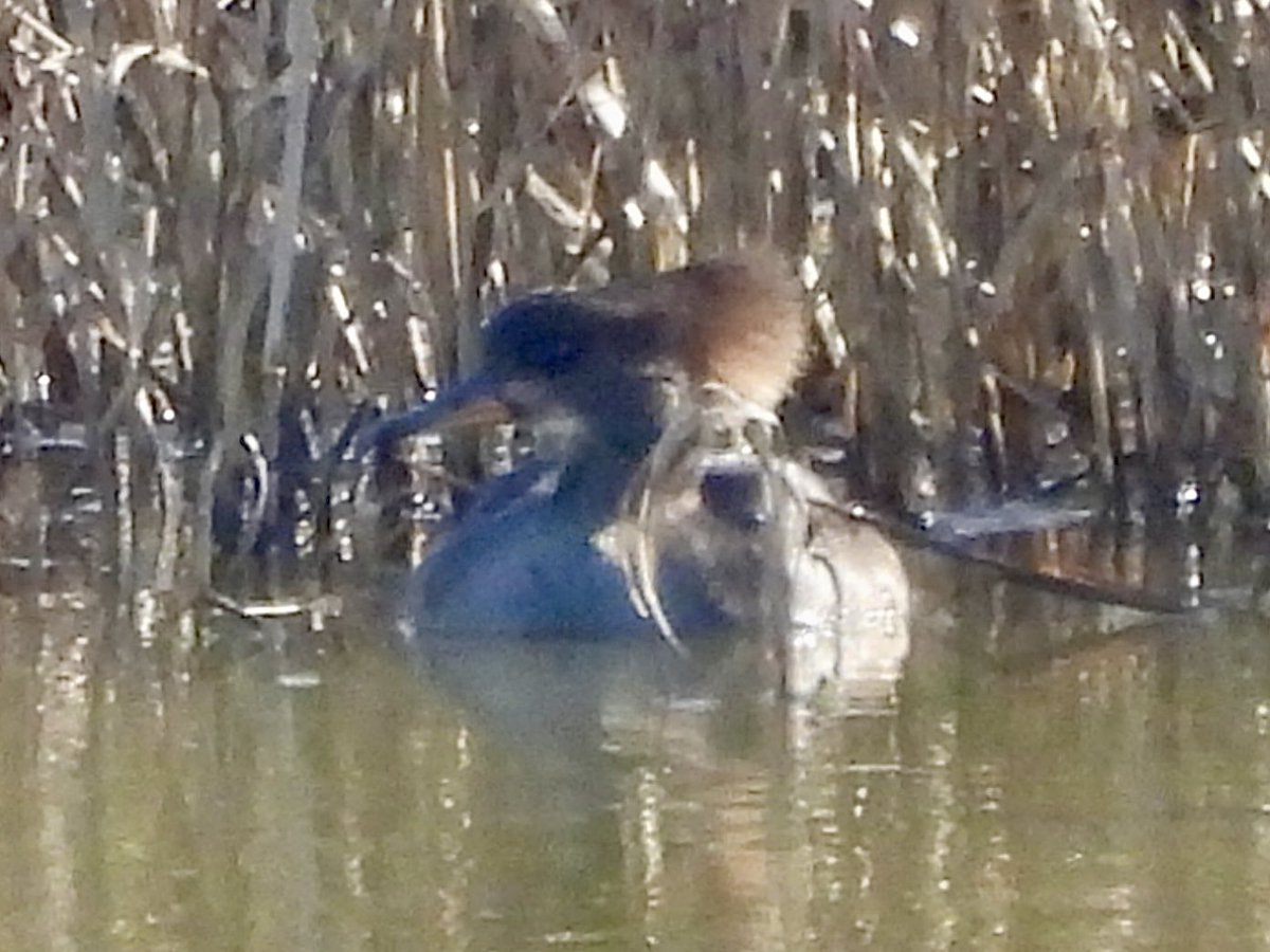 Paul Masters tweet media