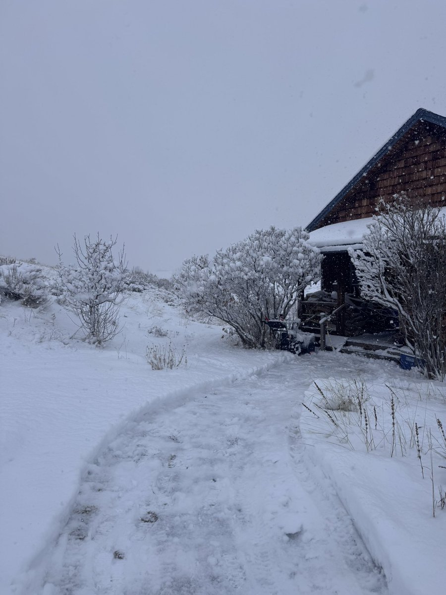 Benton Hodges tweet media