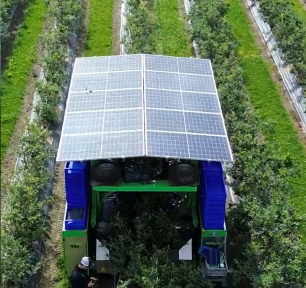 vaielettrico's tweet photo. Robot solari per raccogliere i mirtilli, vanno avanti e lavorano grazie al sole di #finefield https://t.co/yFlDgFtrYs https://t.co/EwdZP3Swmf