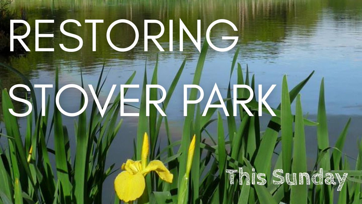 British Dragonfly Society tweet media