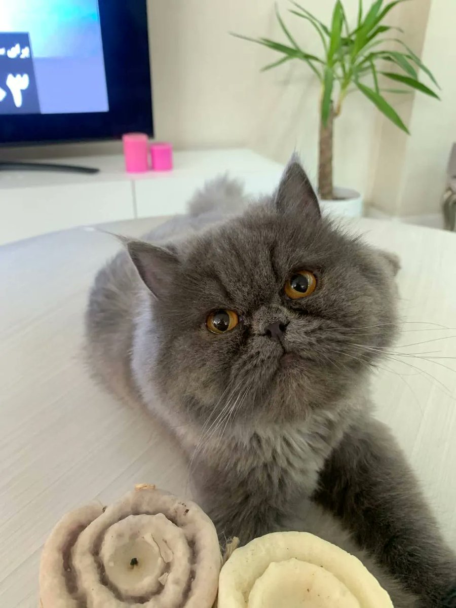 منو خر درونم tweet media