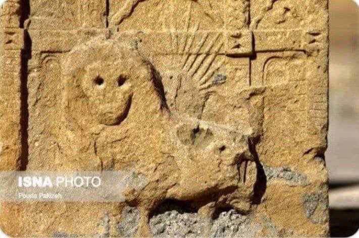 من ی پرندم🕊اسمم ندارم🤷🏻‍♀️ولی قافیه دارم🧛🏻‍♀️ tweet media