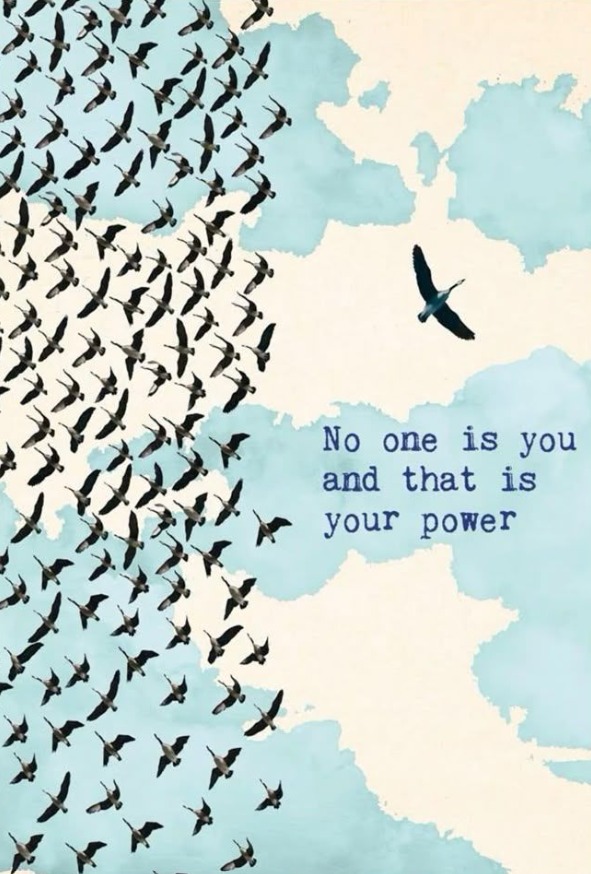 POSITIVITY (@positivitysaid) on Twitter photo 