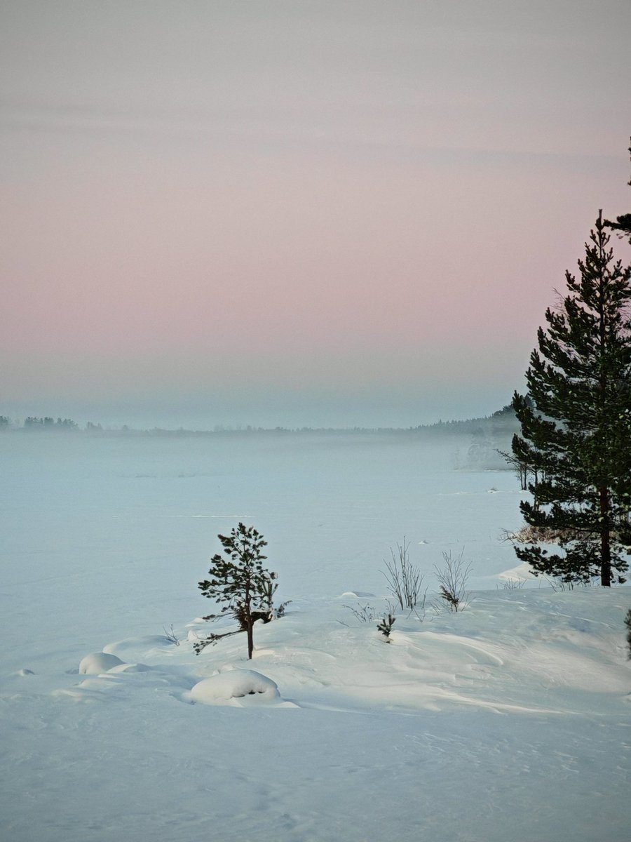 Illan usvaa Lievestuoreenjärvellä.