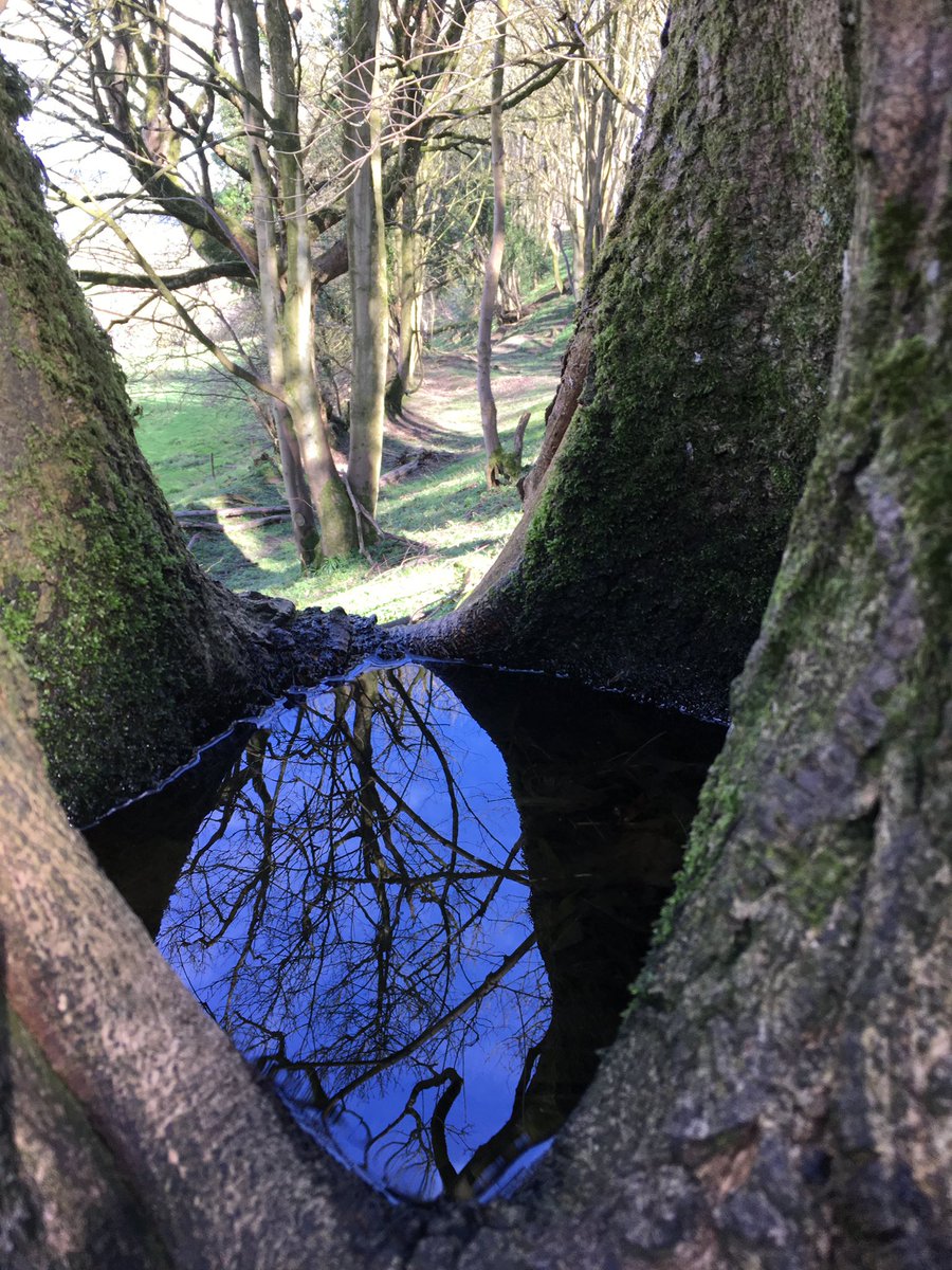 Jane E Hall tweet media