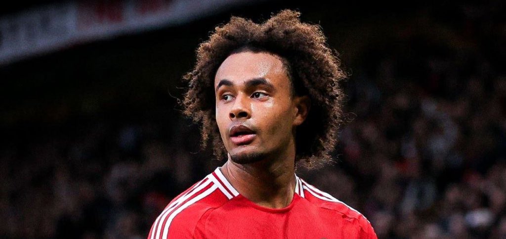 @cantonadevils tweet media