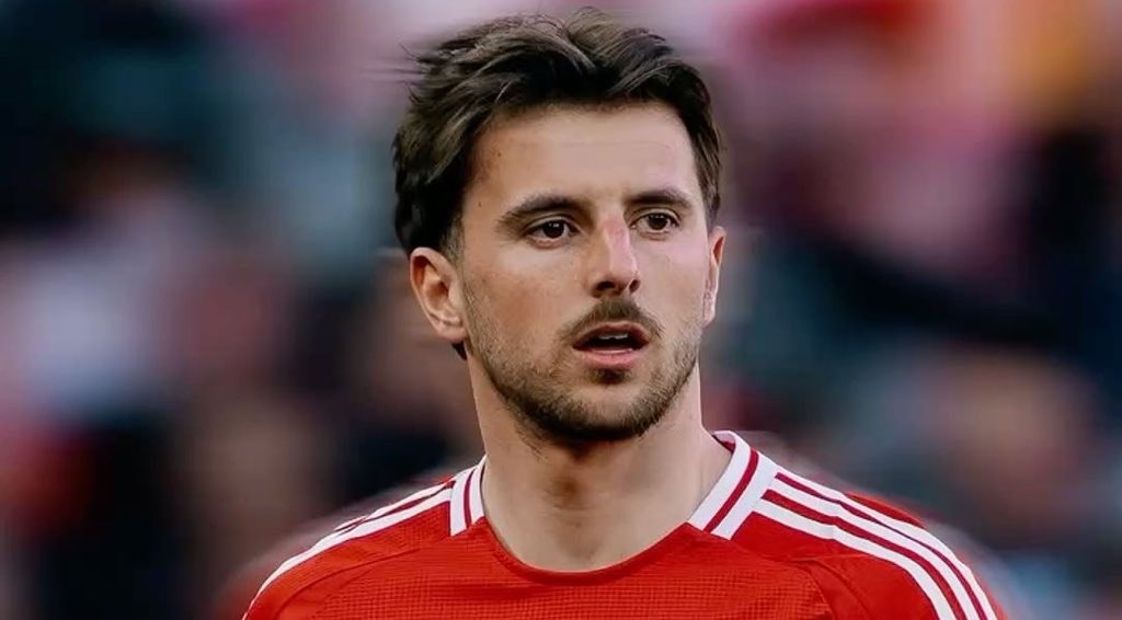 @cantonadevils tweet media