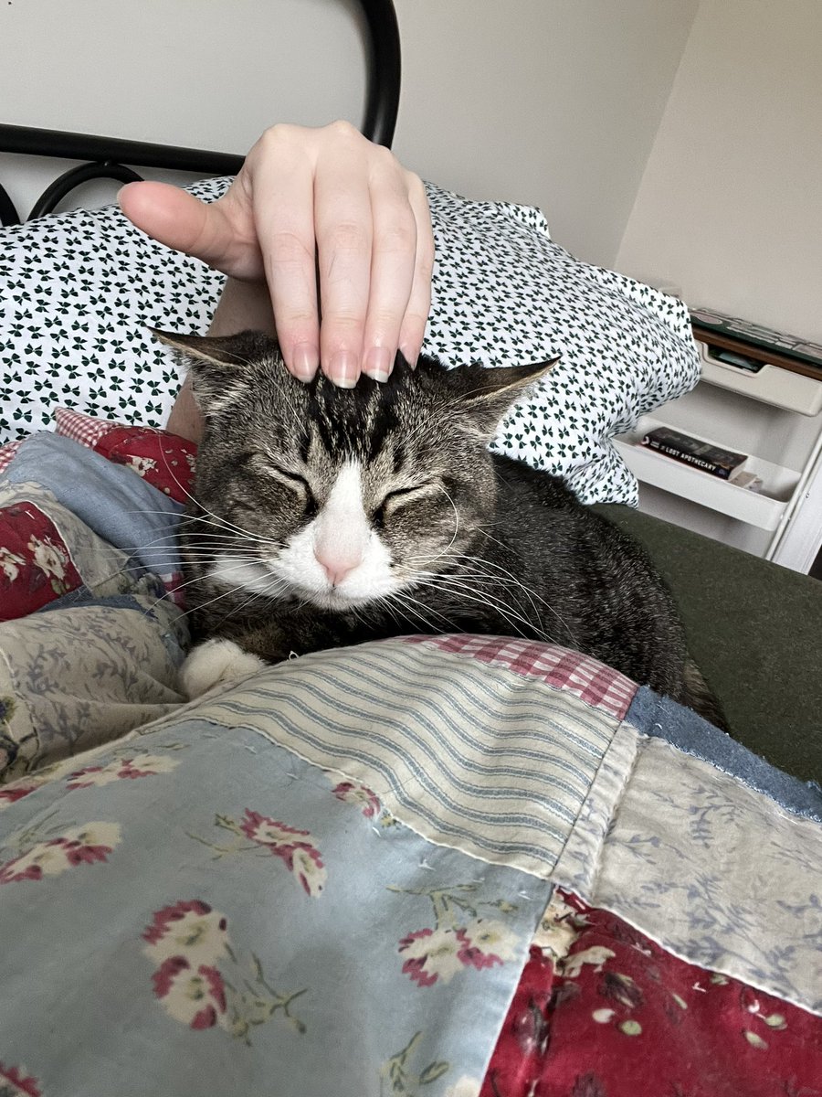 who up getting they brane scritched ‼️