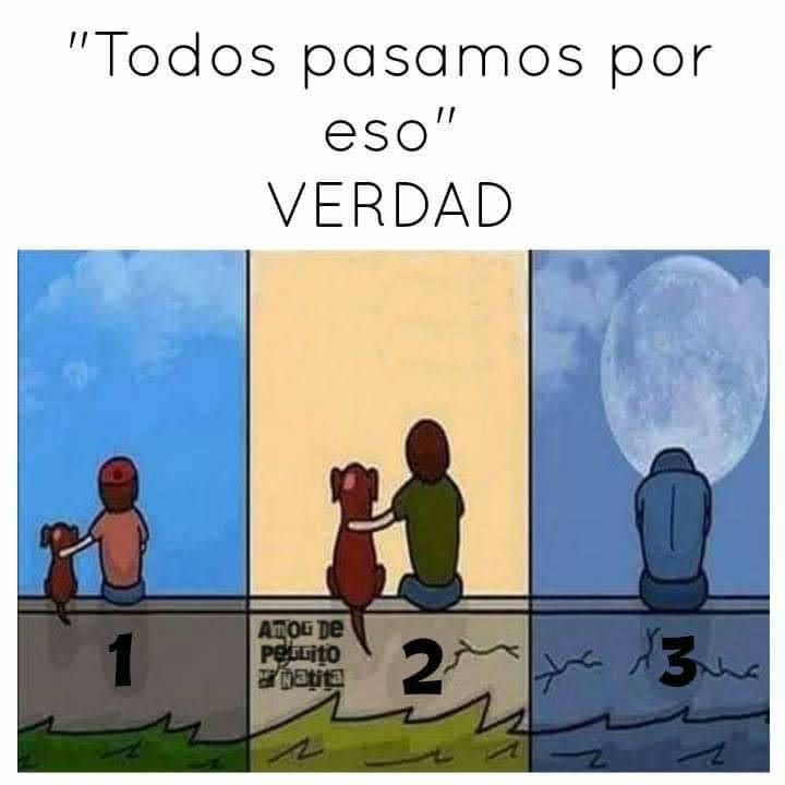 Nunca quisiéramos que llegara ese momento  😔 😢😭