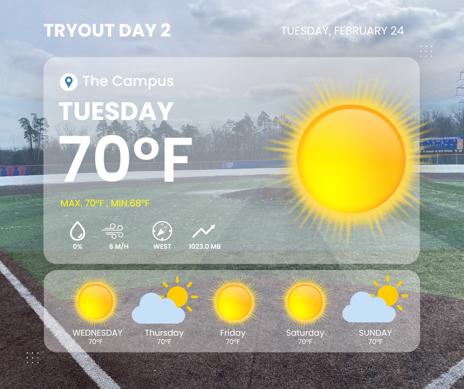 Orange Baseball tweet media