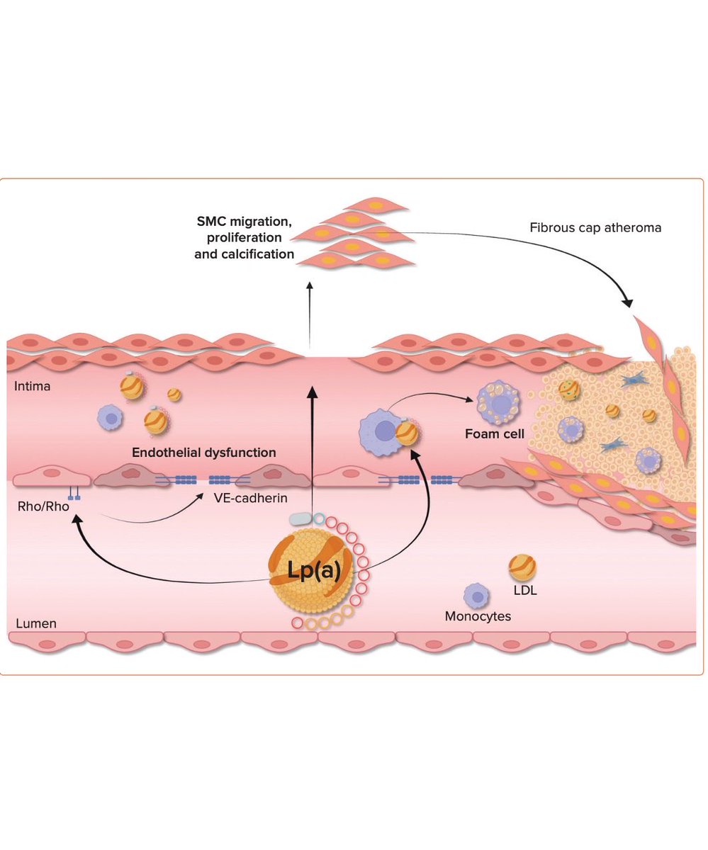 Annalisa Filtz tweet media