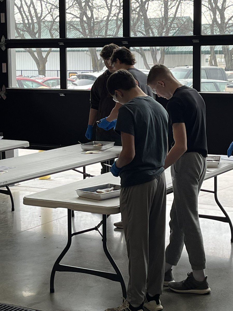 CentralCityFFA tweet media