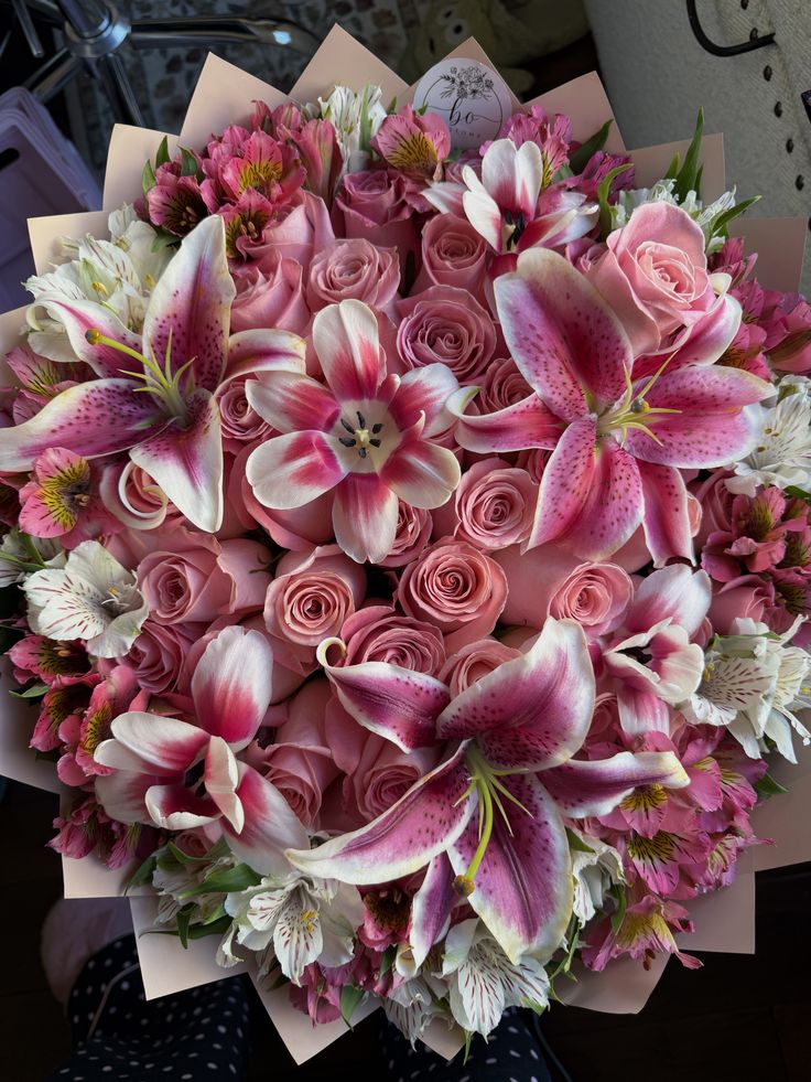 blossom library (@blossom_library) on Twitter photo 