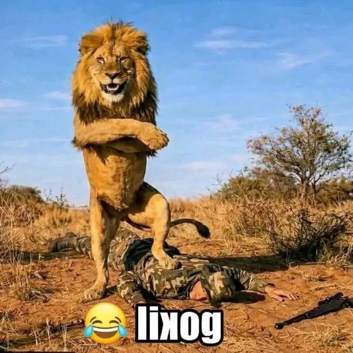 Choi Sumin xikers (2004) tweet media