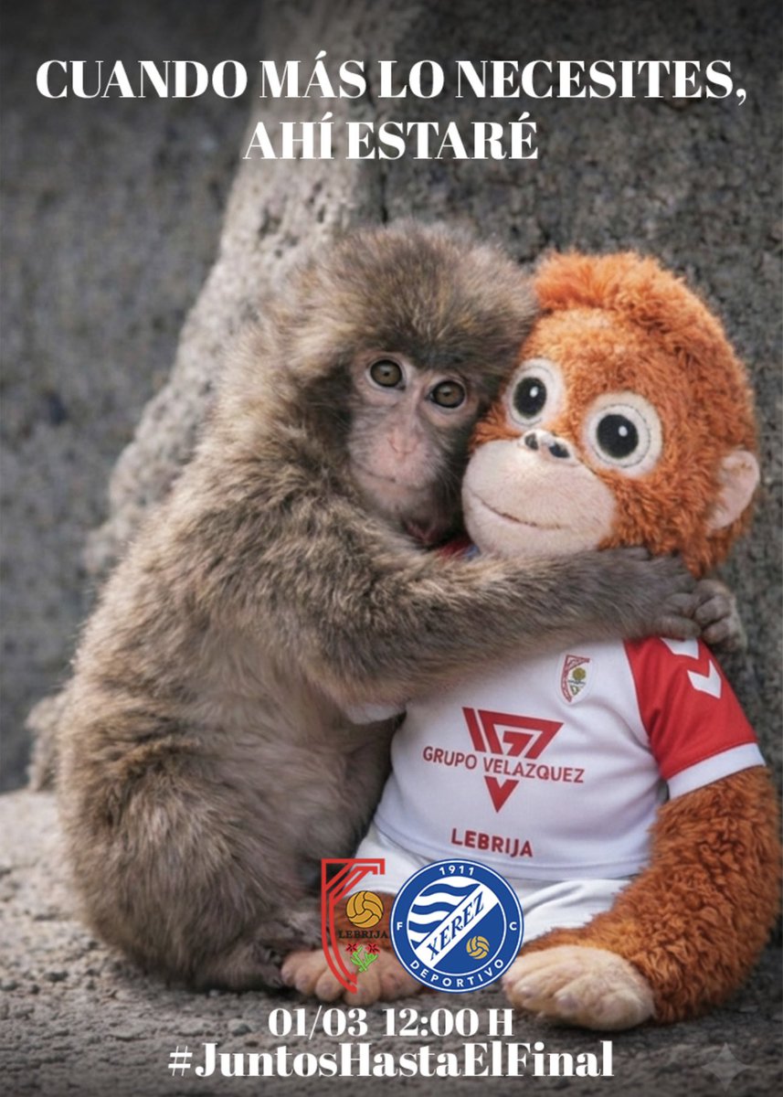 Hay momentos en la temporada en los que los jugadores necesitan a la afición como Punch a su peluche🐒🧸. 
Este domingo es uno de esos…
Hora de luchar y estar #JuntosHastaElFinal
❤️🤍