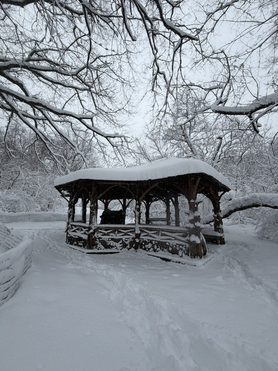 Central Park or Narnia? Idk you tell me ❄️🩵 #NYWX