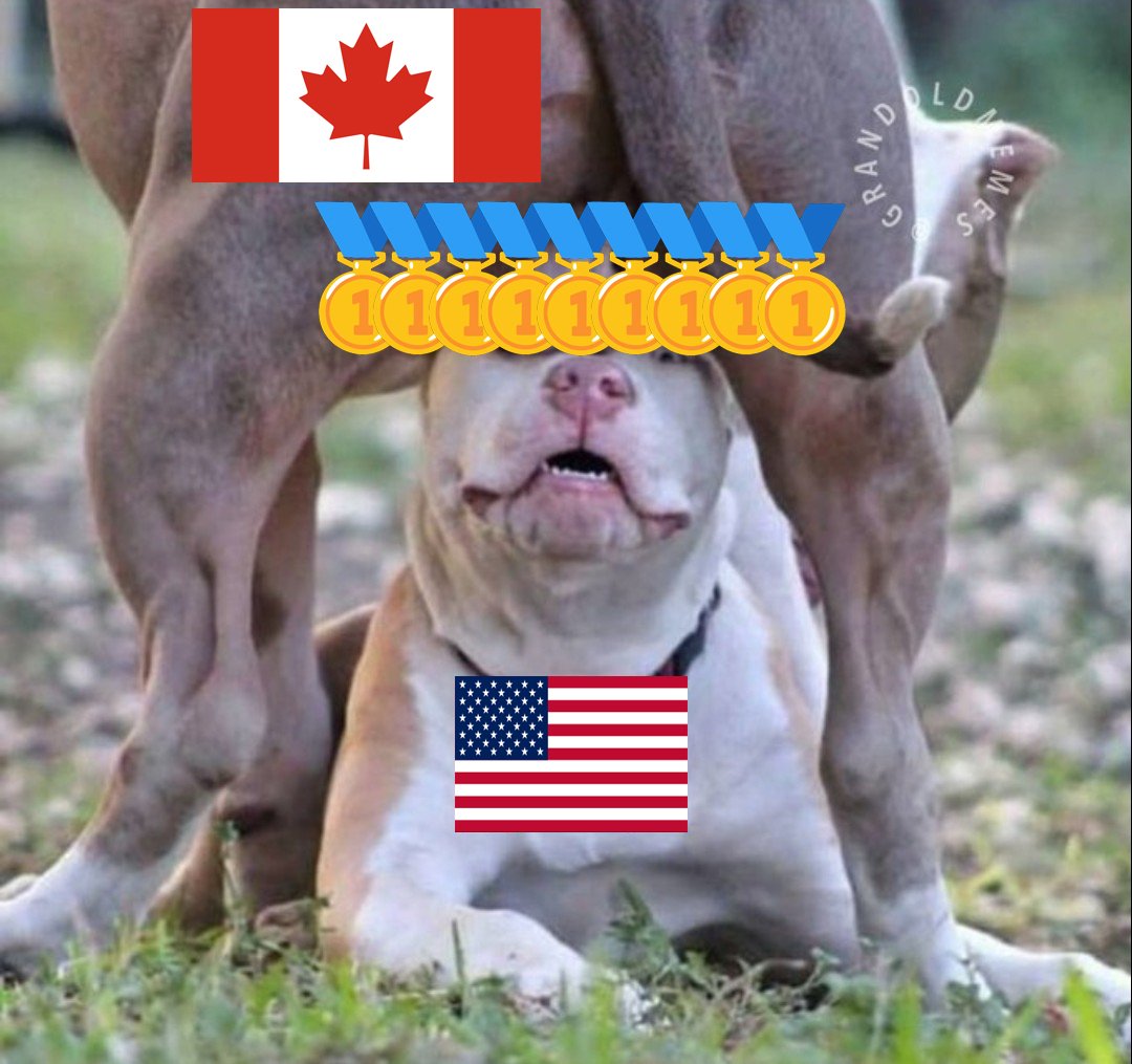 🇨🇦 4sberg's 🧢 🇨🇦 tweet media