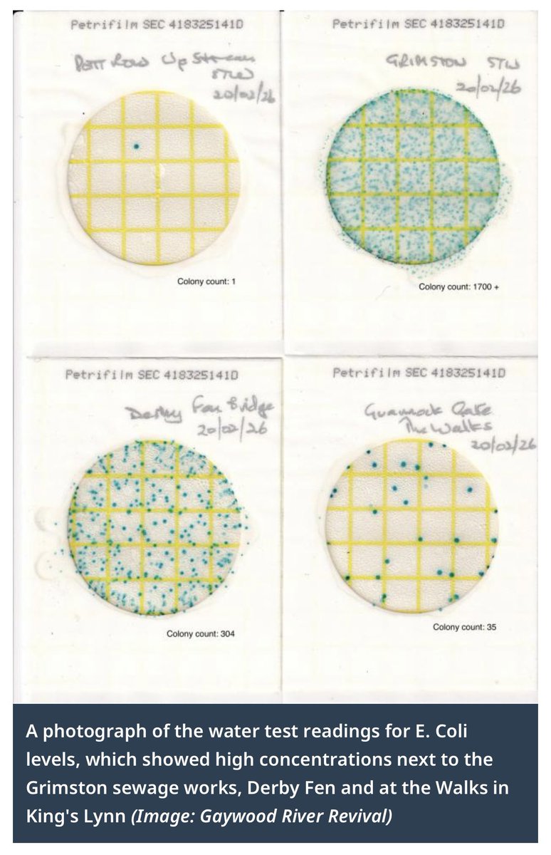 I’ve witnessed some appalling pollution incidents on the <a href="/GaywoodRiver/">Gaywood River Revival</a> but this is being done by <a href="/AnglianWater/">Anglian Water</a>🧐we took samples for testing Above STW 1 E-coli below 1700+ 🤮💀Derby Fen SSSI 304 King’s Lynn 35🧐The safe limit for bathing water is 10🤷‍♂️#DirtyBusiness #SewageScandal