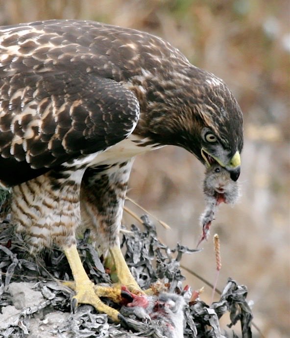 NothingIsArt tweet media