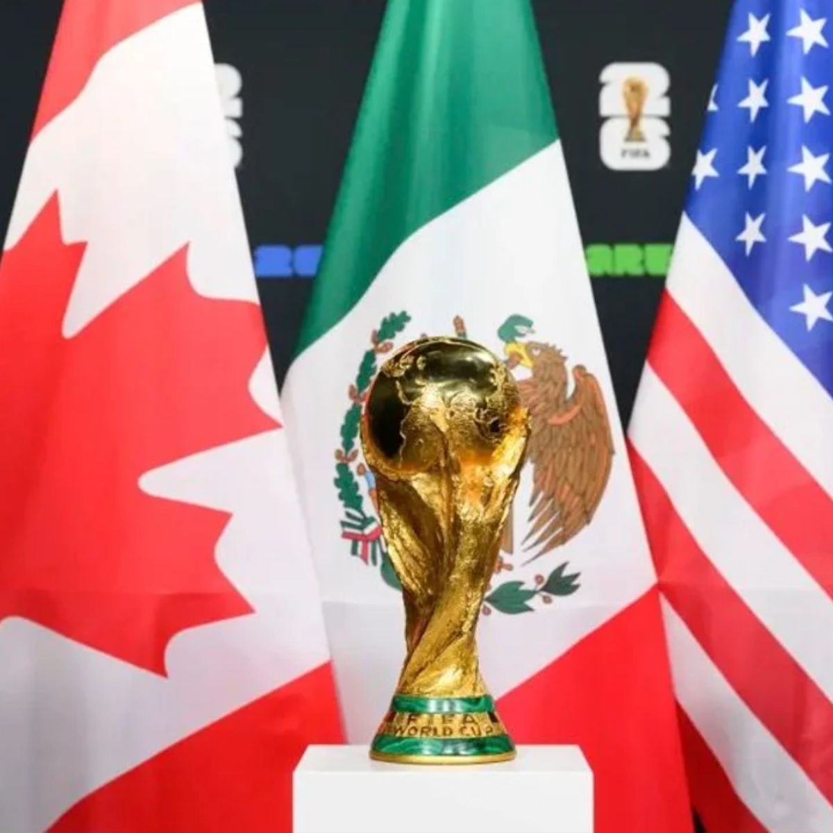 Enséñame de Ciencia tweet media